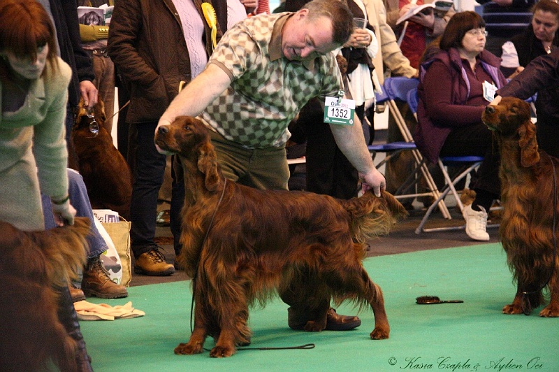 Crufts2011_2 055.jpg